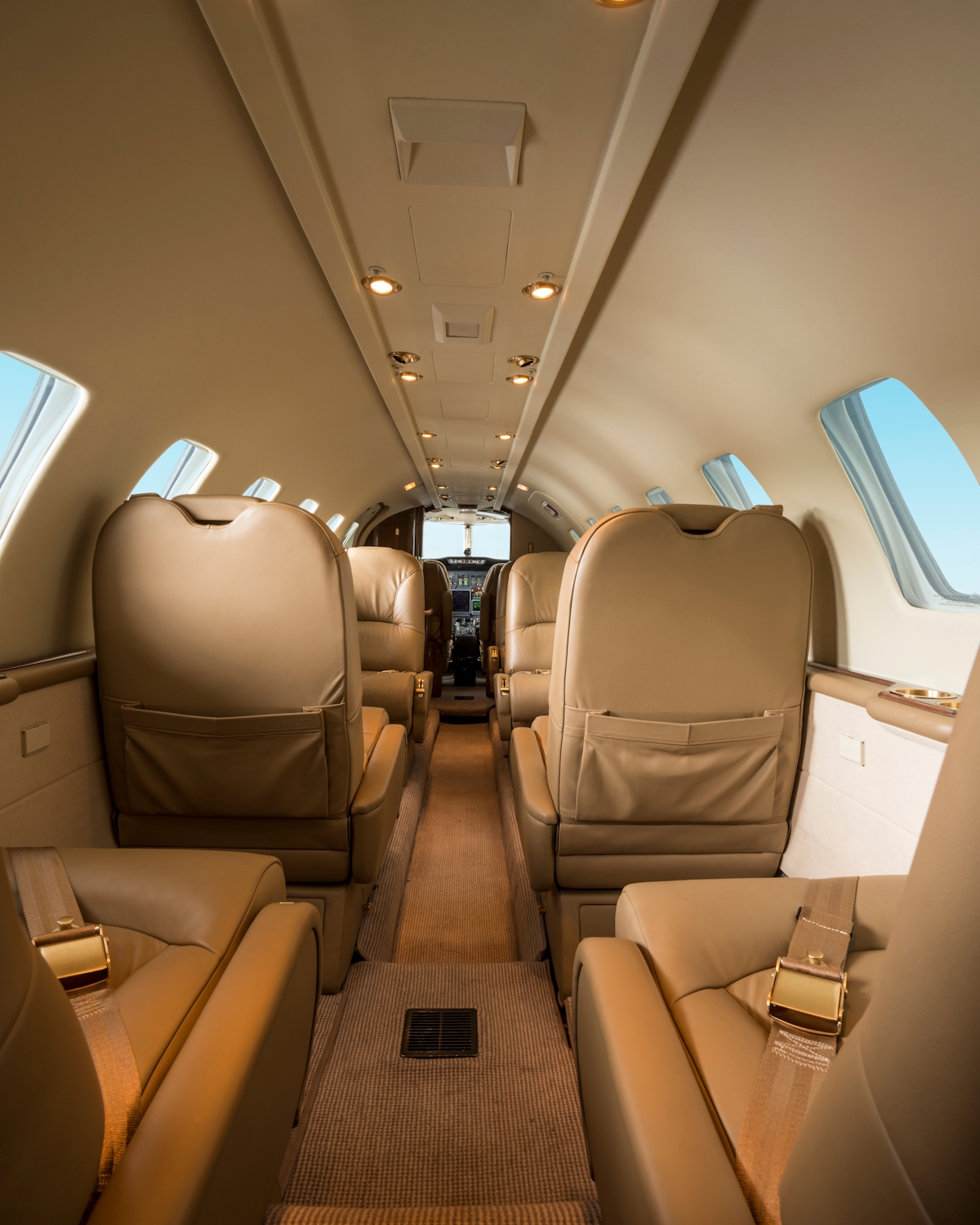 Interior,Of,A,Business,Private,Jet,-,Stock,Photo